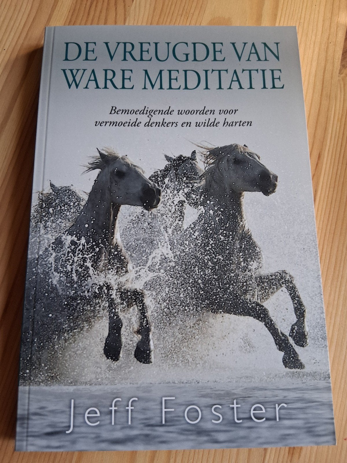 Jeff Foster - De vreugde van ware meditatie, Boeken, Meditatie of Yoga, Ophalen of Verzenden, Zo goed als nieuw, Jeff Foster