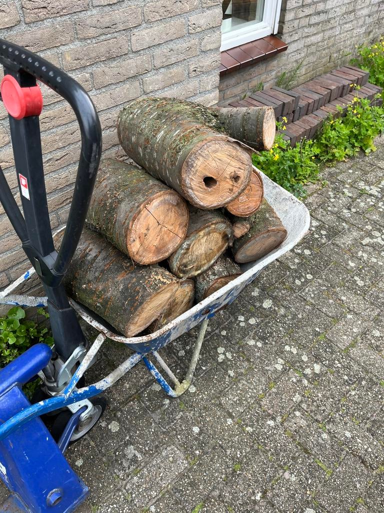 Kachelhout / haardhout, Tuin en Terras, Minder dan 3 m³, Ophalen
