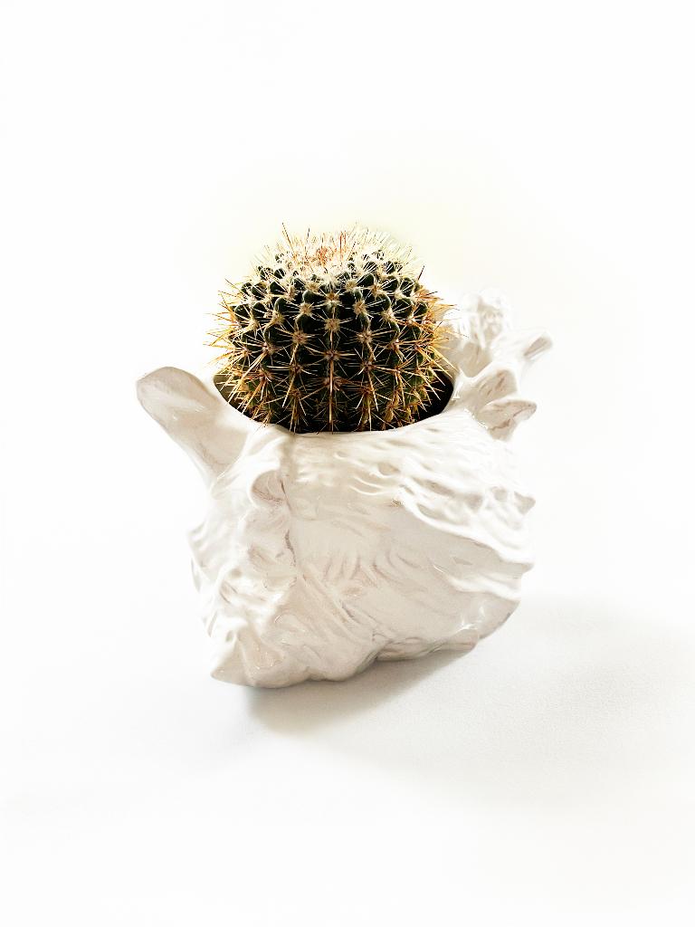 Vintage schelp vaas – boho decor, Ophalen of Verzenden, Gebruikt, Wit