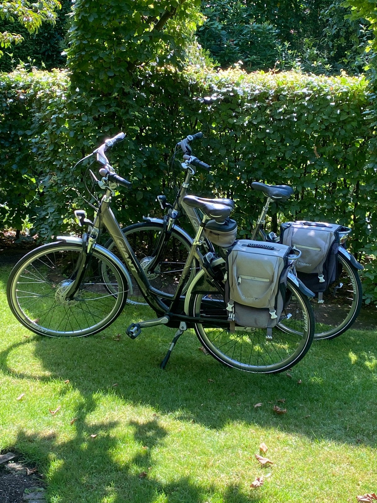 Twee giant twist e-fietsen met fietsdrager op trekhaak, Ophalen, Zo goed als nieuw, Overige merken