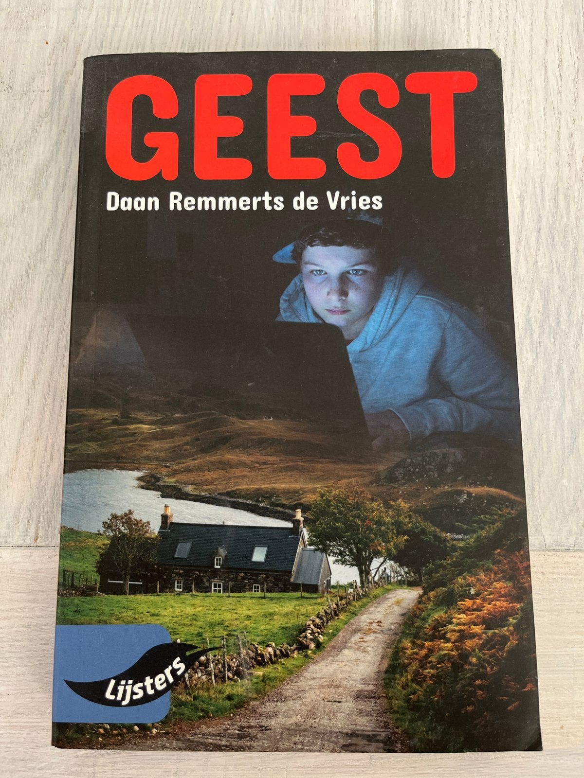 GEEST - Daan Remmerts de Vries (Lijsters), Ophalen, Zo goed als nieuw, Nederland