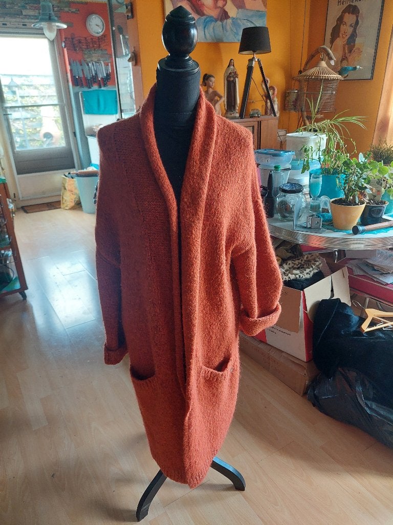Lange mouwen vest { Anna van Toor, Kleding | Dames, Overige kleuren, Anna van Toor, Maat 46/48 (XL) of groter, Ophalen of Verzenden