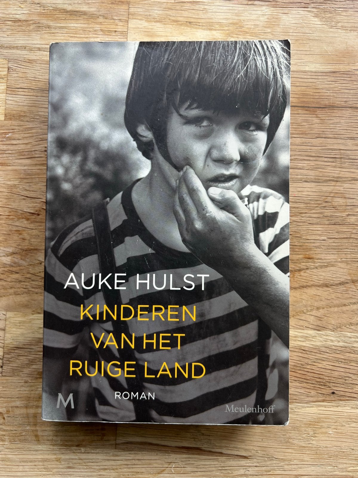 Kinderen van het Ruige Land - Auke Hulst (Roman), Ophalen of Verzenden, Zo goed als nieuw, Nederland