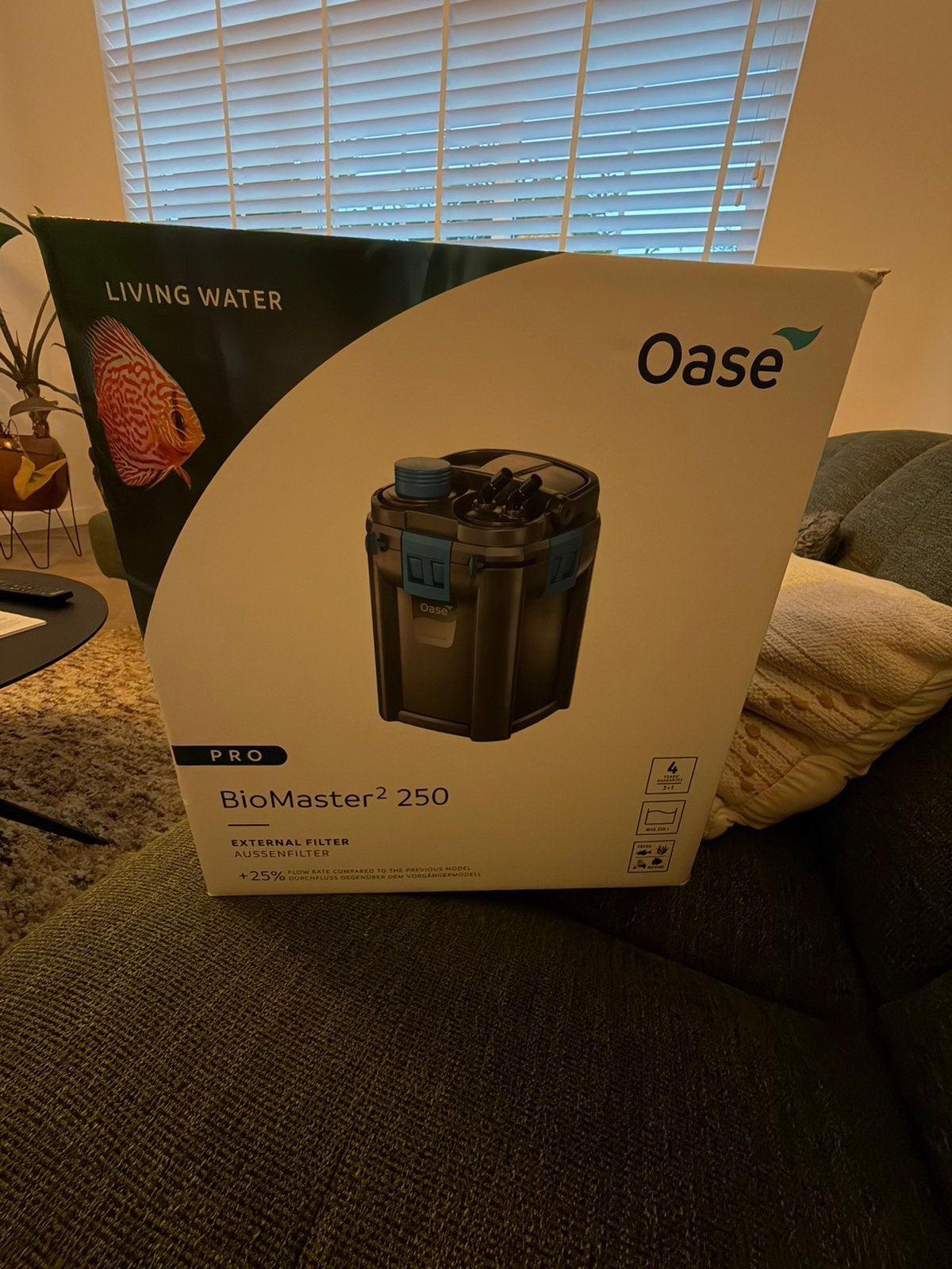 Oase BioMaster 250 (Nieuw Model!Gen2), Ophalen, Pomp, Oase, Zo goed als nieuw