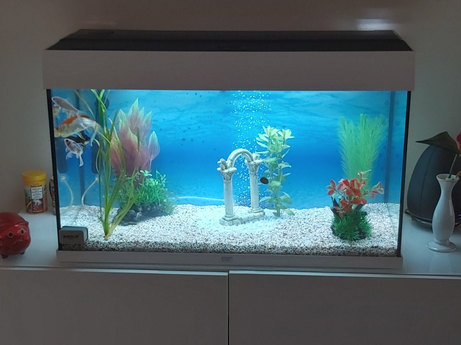 225 liter  Jewel met led verlichting en buitenpomp, Dieren en Toebehoren, Ophalen, Leeg aquarium