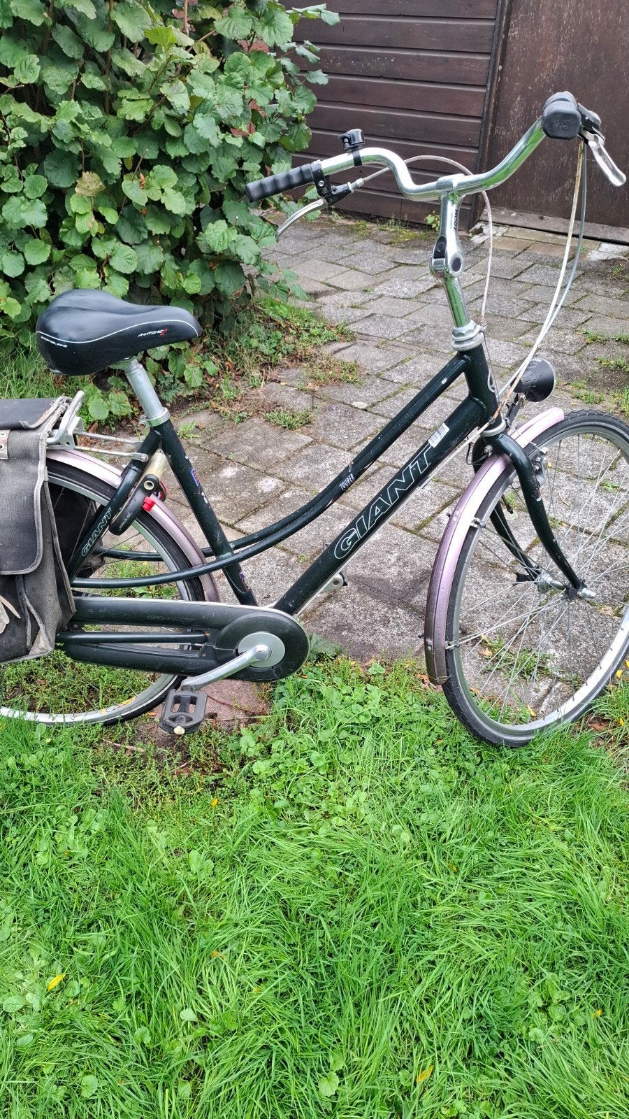Giant Damesfiets met Comfort Gel Zadel en Fietstassen, Fietsen en Brommers, Ophalen, Gebruikt, Versnellingen, Giant