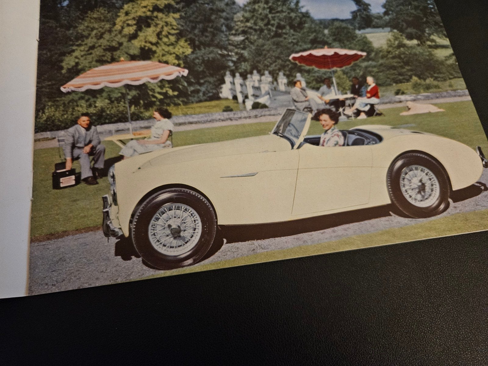 Brochure Austin Healey 100, Ophalen of Verzenden, Zo goed als nieuw, Overige merken
