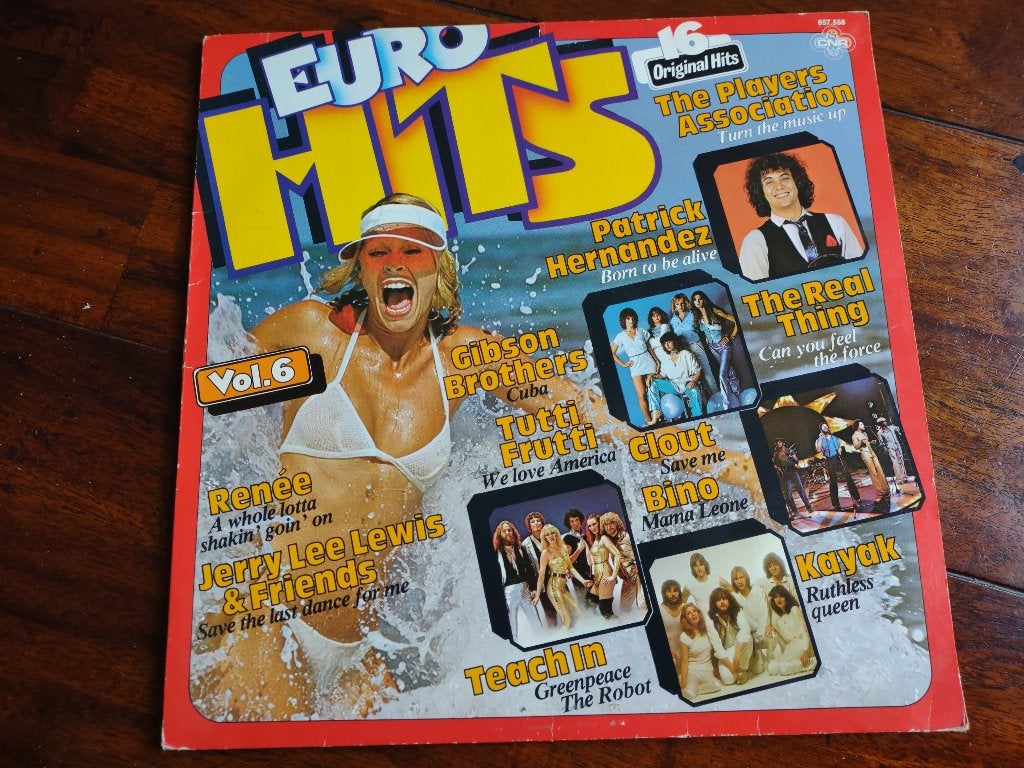 2 LP's - Euro Hits, Ophalen of Verzenden, Gebruikt, Pop, LP