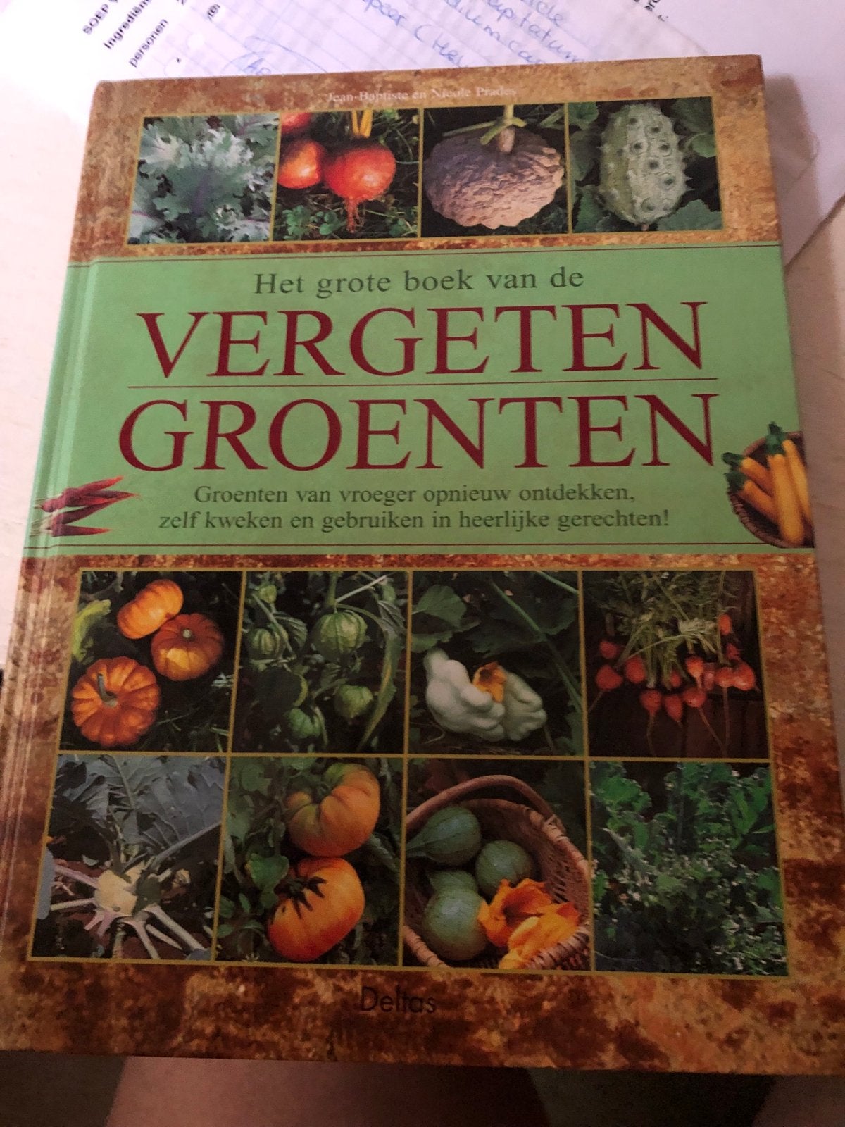 Het grote boek van de vergeten groenten, Hoofdgerechten, Ophalen of Verzenden, Zo goed als nieuw, Gezond koken