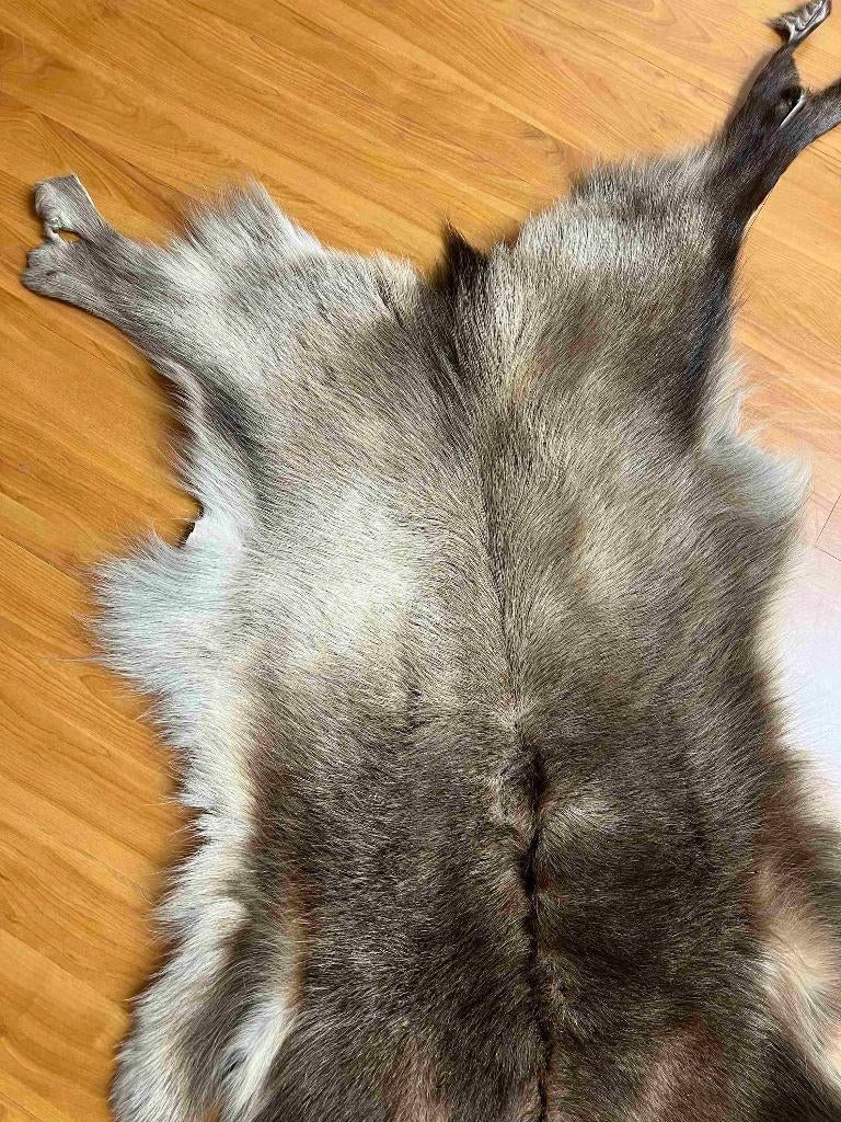 Rendierhuid vacht 110/60 cm, Gebruikt, 100 tot 150 cm, Etten-Leur, DJT@dejuistetoon.eu