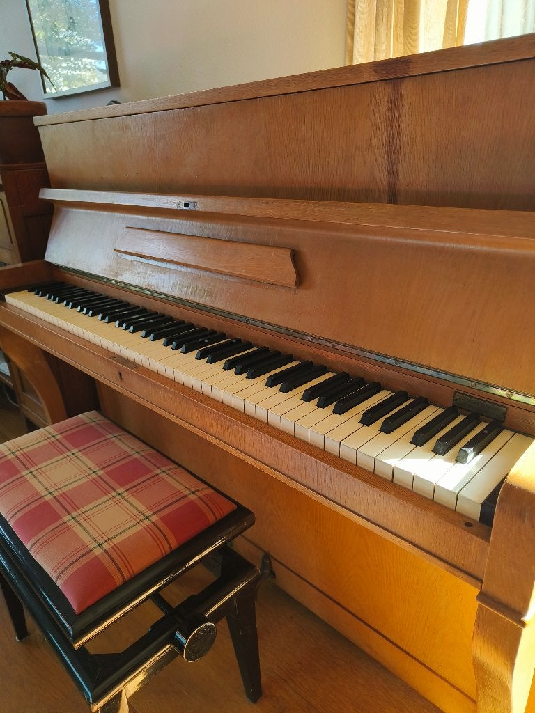 Foto 5 van Piano merk Petrof