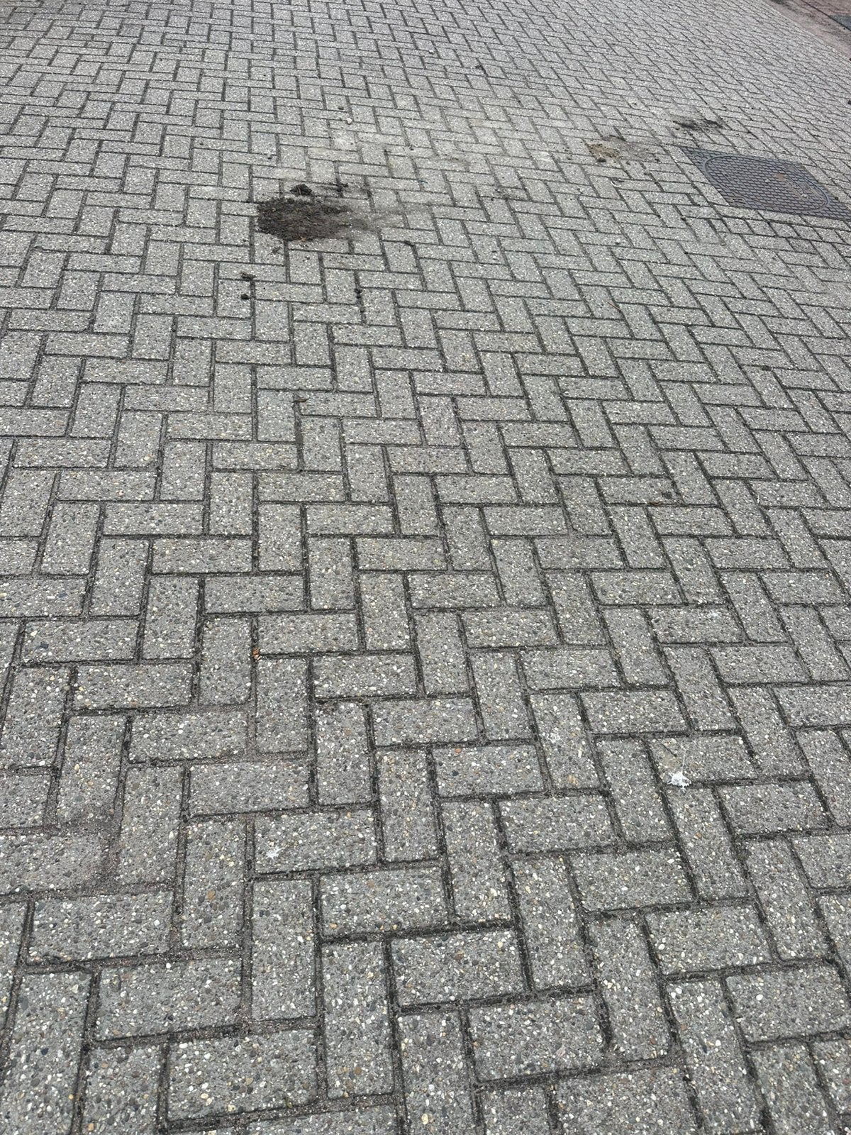 Betonklinkers bkk grijs 8 cm 1500 m2, Ophalen, Zo goed als nieuw, Beton, Klinkers
