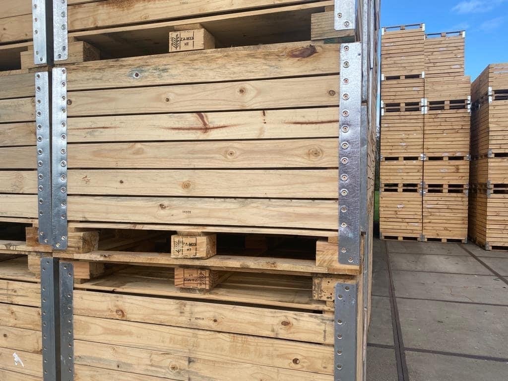 Houten fruitkisten - Diverse maten beschikbaar, Ophalen of Verzenden