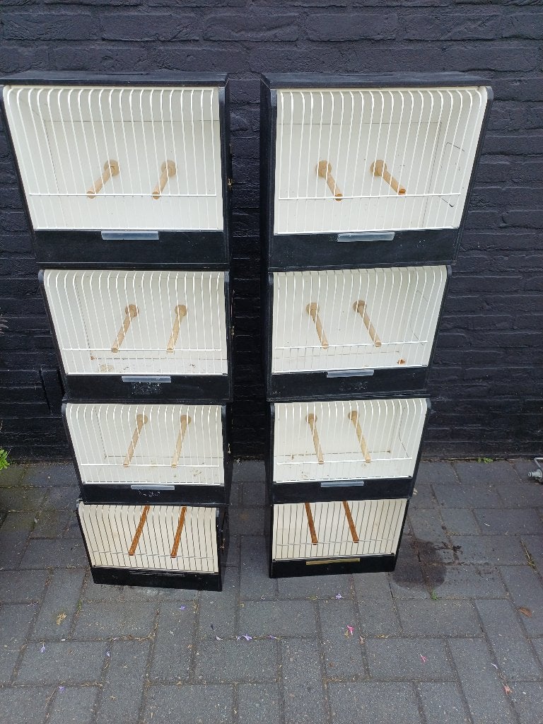 NGC WBO TT Kooien, Dieren en Toebehoren, Vogels | Hokken en Kooien, Ophalen of Verzenden, Zo goed als nieuw, Hout, Vogelkooi