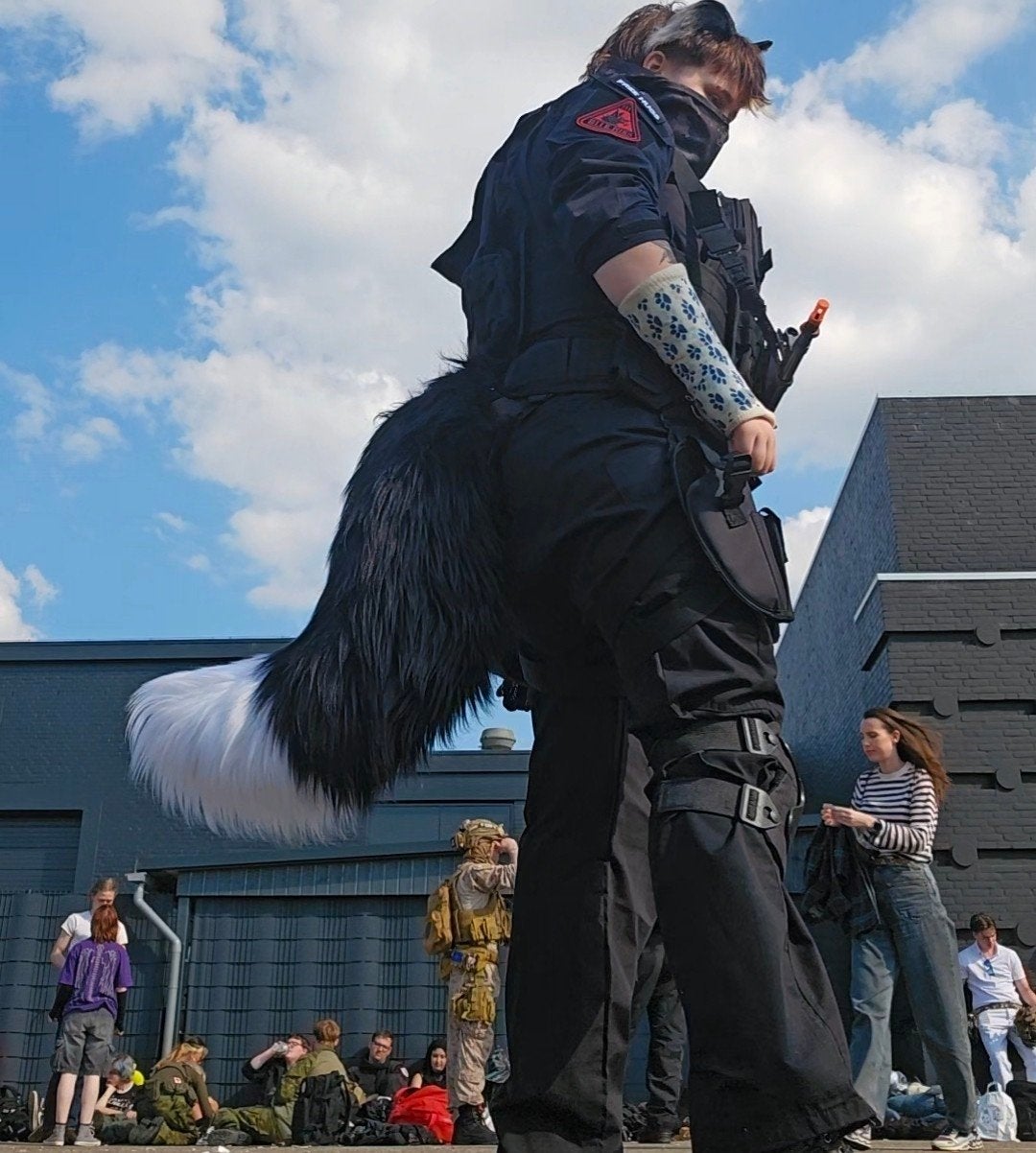 Hypermotion border collie tail, Tickets en Kaartjes, Eén persoon