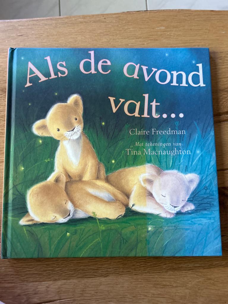 Als de avond valt... - Prentenboek voor het slapengaan, Boeken, Kinderboeken | Baby's en Peuters, Ophalen of Verzenden, Zo goed als nieuw