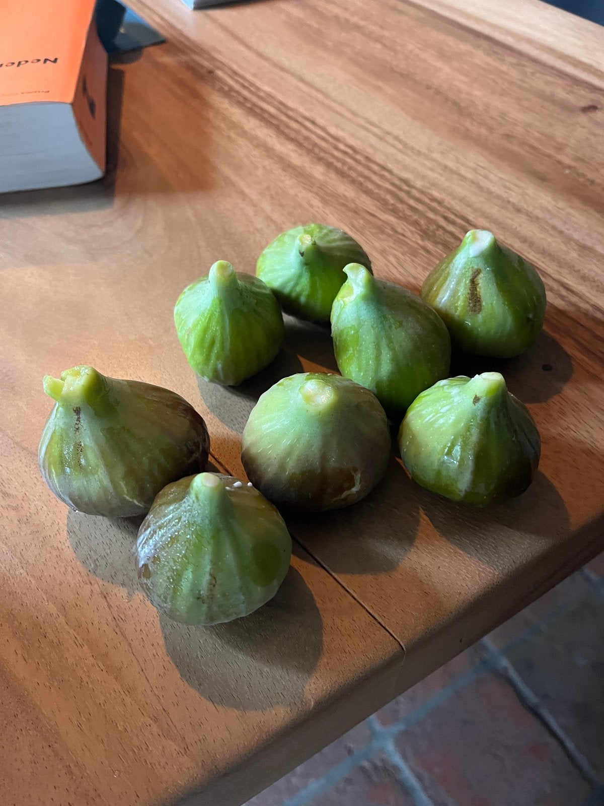 Verse vijgen, Tuin en Terras, Ophalen, Minder dan 100 cm, Overige soorten, Zomer