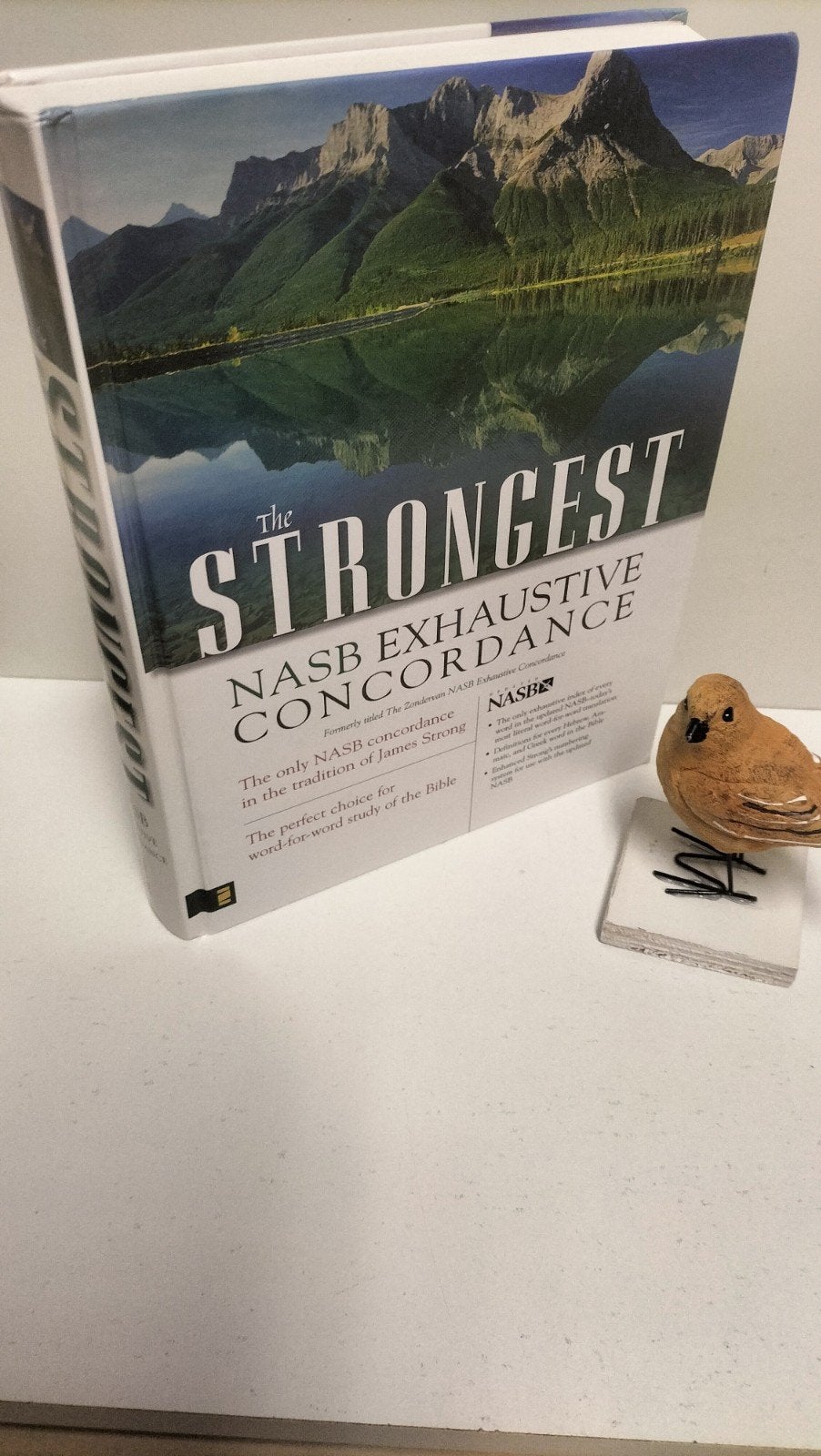 Concordance; The strongest NASB exhaustive concordance, Ophalen of Verzenden, Gelezen, Christendom | Protestants
