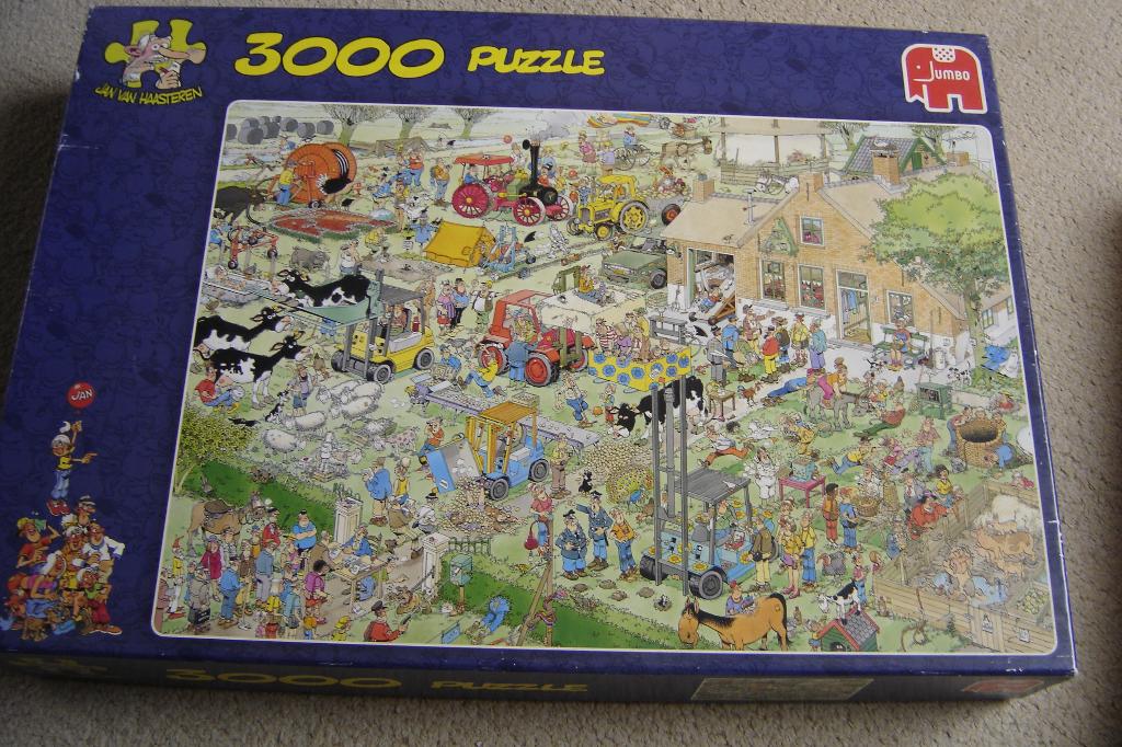 puzzel jan van haasteren 3000 stukjes, Hobby en Vrije tijd, Denksport en Puzzels, Ophalen, Meer dan 1500 stukjes, Zo goed als nieuw