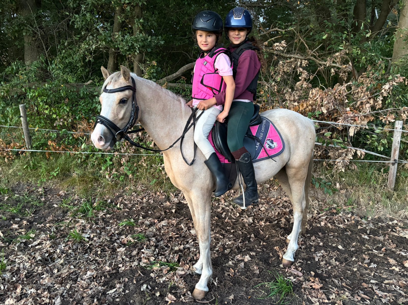 Brave talentvolle pony, Ruin, 3 tot 6 jaar, C pony (1.27m tot 1.37m), Met stamboom