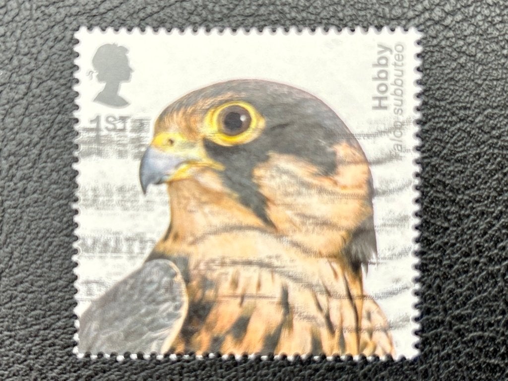 Boomvalk - UK - 2019, Verzenden, Gestempeld, Dier of Natuur