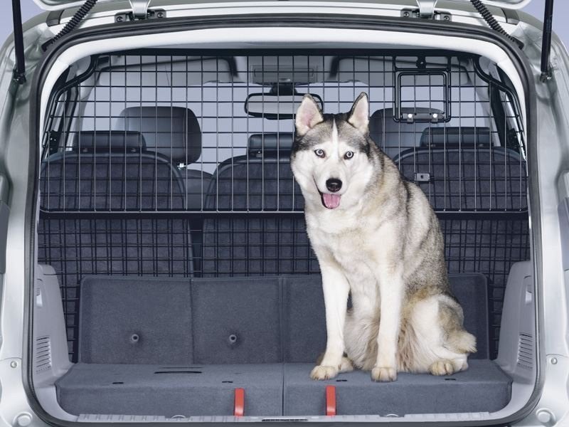 Hondenrek en afscheidingsrek voor Ford S-Max (2006-2014), Ophalen, Gebruikt