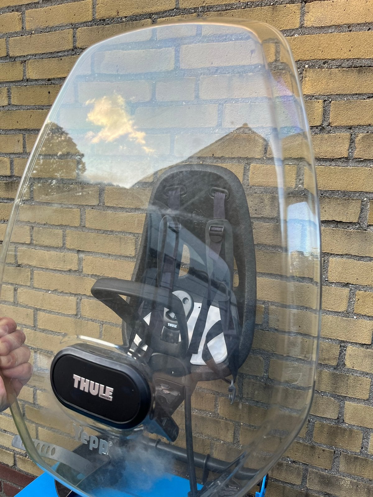 Thule Yepp Nexxt Mini Fietszitje met Windscherm, Fietsen en Brommers, Fietsaccessoires | Fietsstoeltjes, Ophalen, Voorzitje, 0 t/m 13 kg
