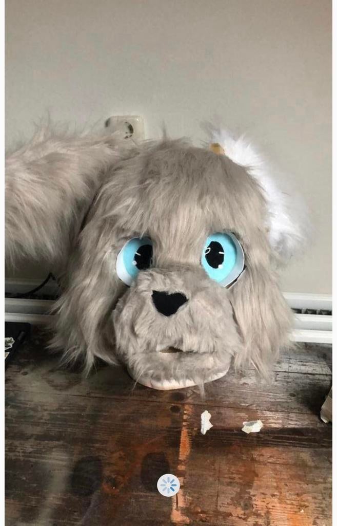 Fursuit, Ophalen of Verzenden, Zo goed als nieuw