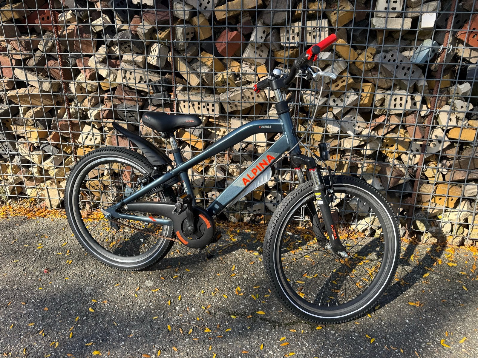 Foto 2 van Alpina Trial 22 inch - Zo goed als nieuw