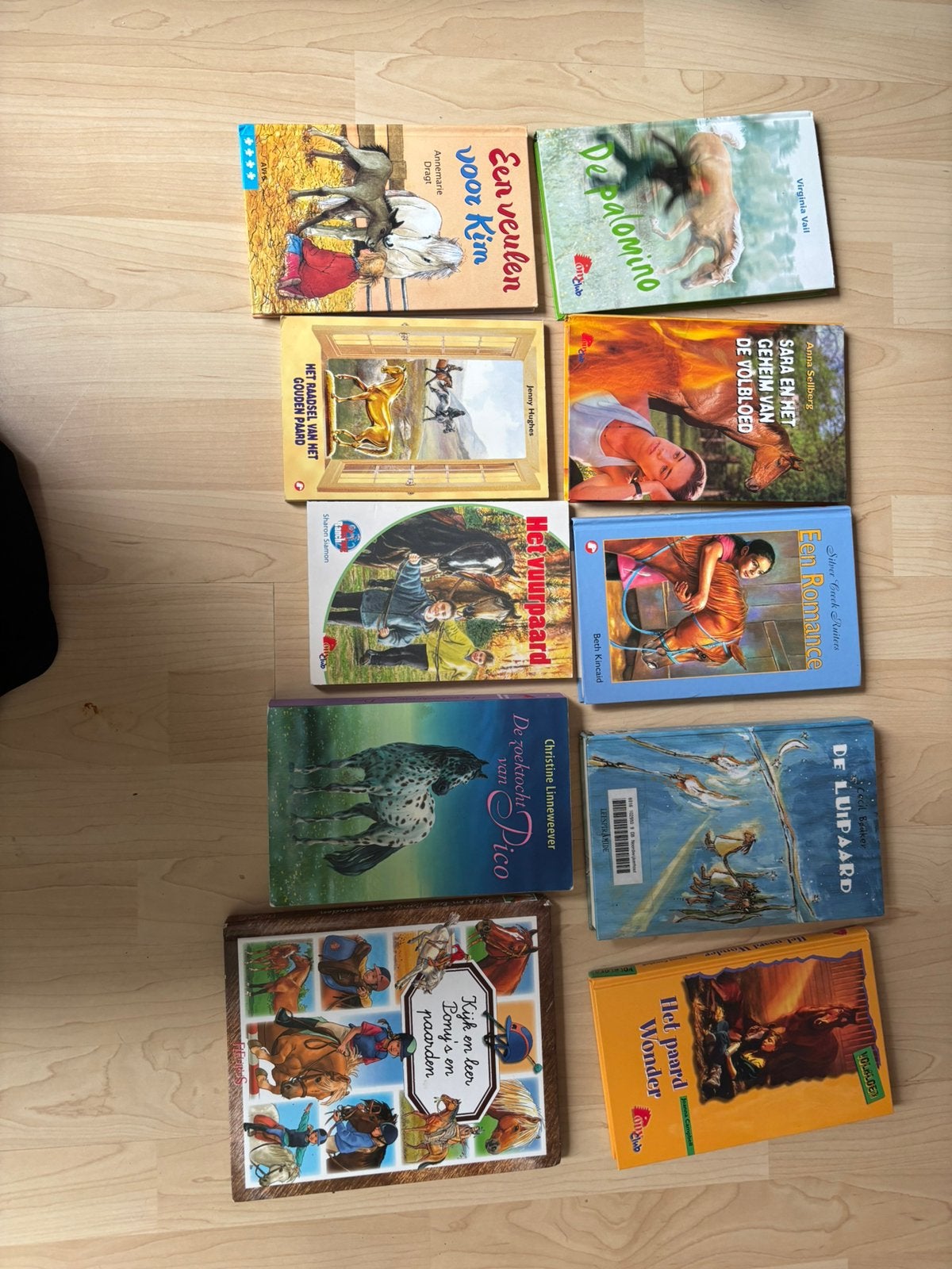 Paarden boeken leesboeken de zoektocht naar plezier picco, Ophalen of Verzenden, Zo goed als nieuw