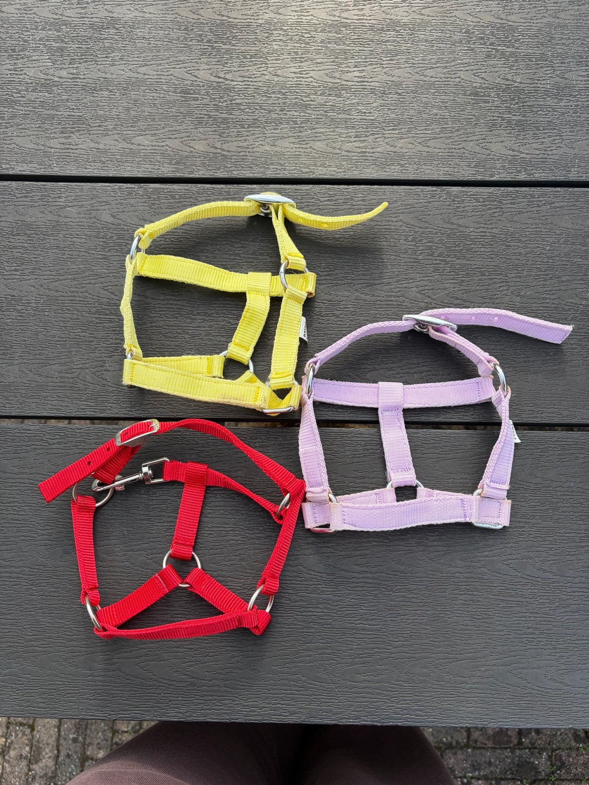 Mini veulen halsters, Dieren en Toebehoren, Ophalen, Nieuw