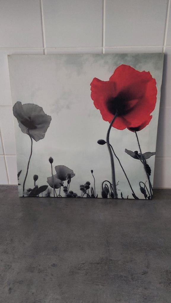Klaproos schilderij 40 bij 40, Minder dan 50 cm, Ophalen of Verzenden, Zo goed als nieuw, Schilderij