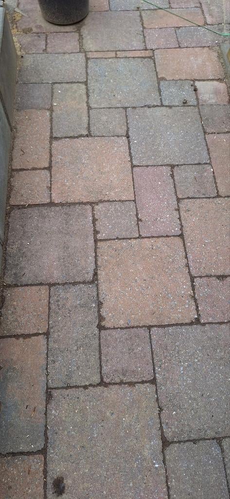 Gratis af te halen: Terras stenen rood/blauw (ca. 12 m²), Ophalen, Gebruikt, Beton, Klinkers