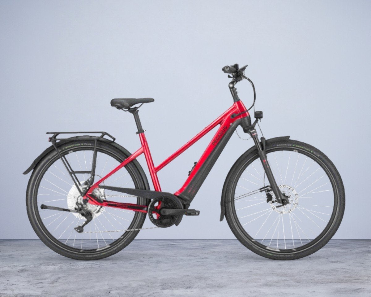 Pegasus Premio Evo 10 Lite, 750 Wh Mixed Adviesprijs: € 4499, Ophalen, -, -, Nieuw
