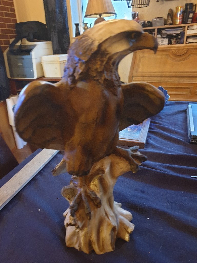 Roofvogel, Ophalen of Verzenden, Zo goed als nieuw, Dier