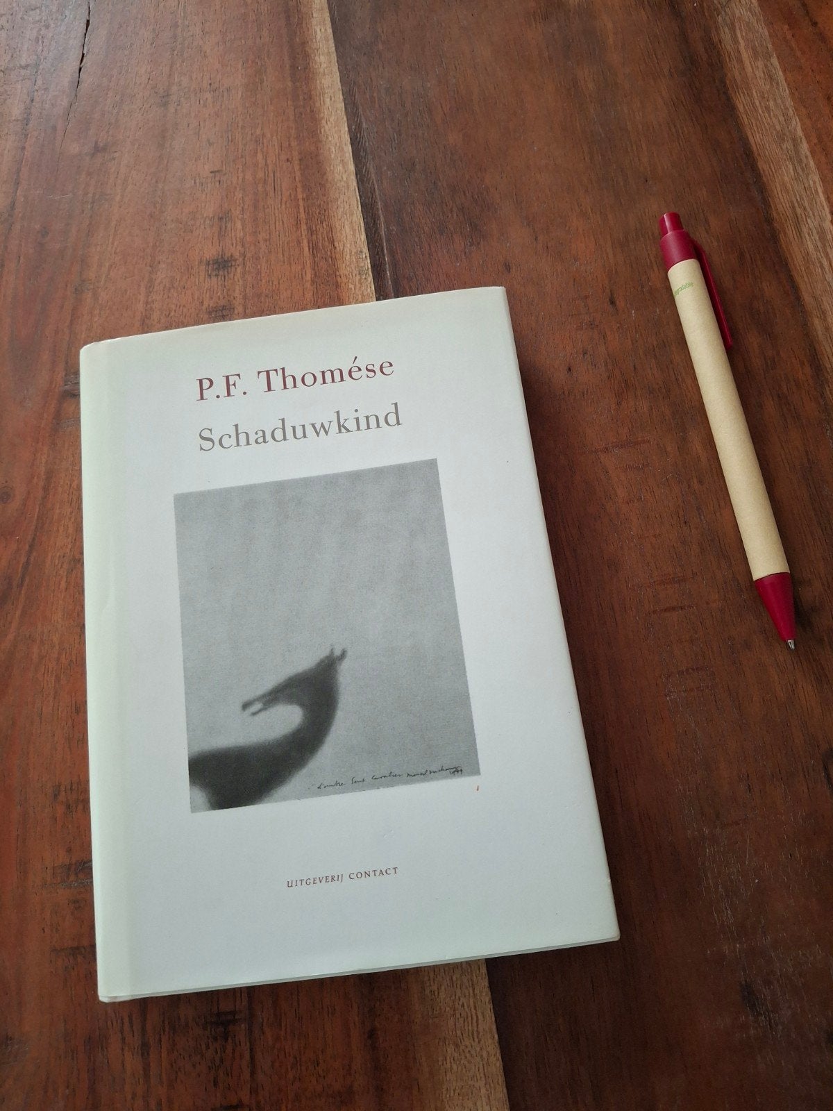 P.F. Thomése - Schaduwkind, Boeken, Ophalen of Verzenden, Zo goed als nieuw, P.F. Thomése