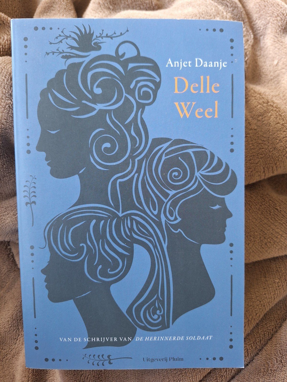 Anjet Daanje - Delle Weel, Boeken, Ophalen of Verzenden, Zo goed als nieuw, Anjet Daanje