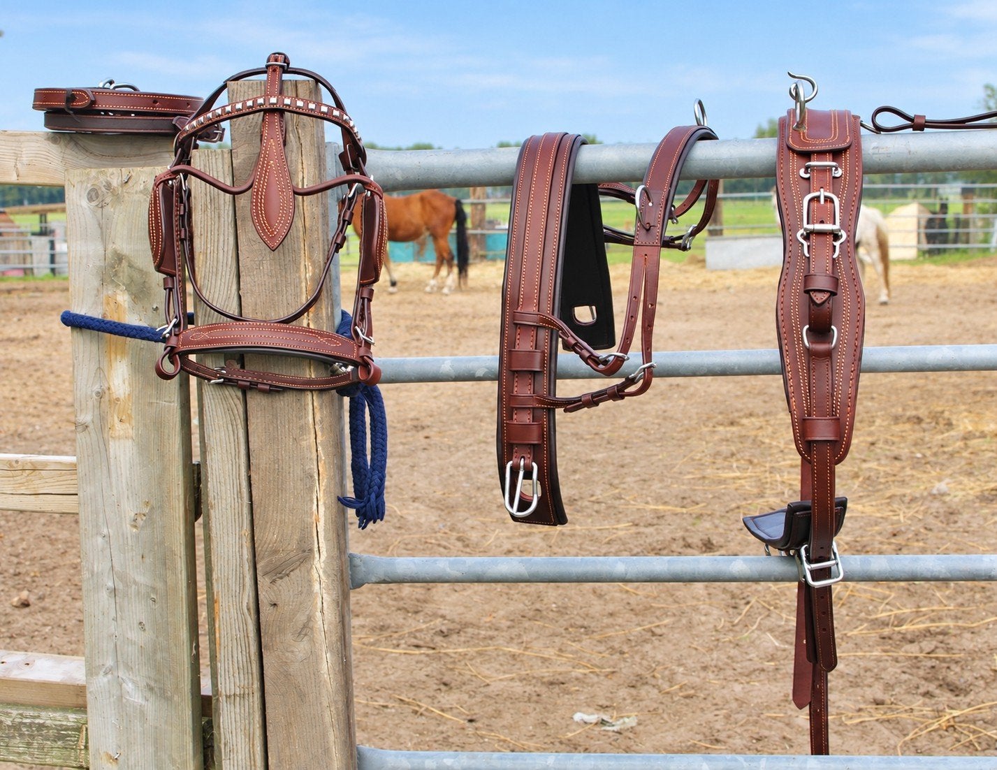 te koop bruin pony mentuig nieuw, Dieren en Toebehoren, Ophalen of Verzenden, ., ., .