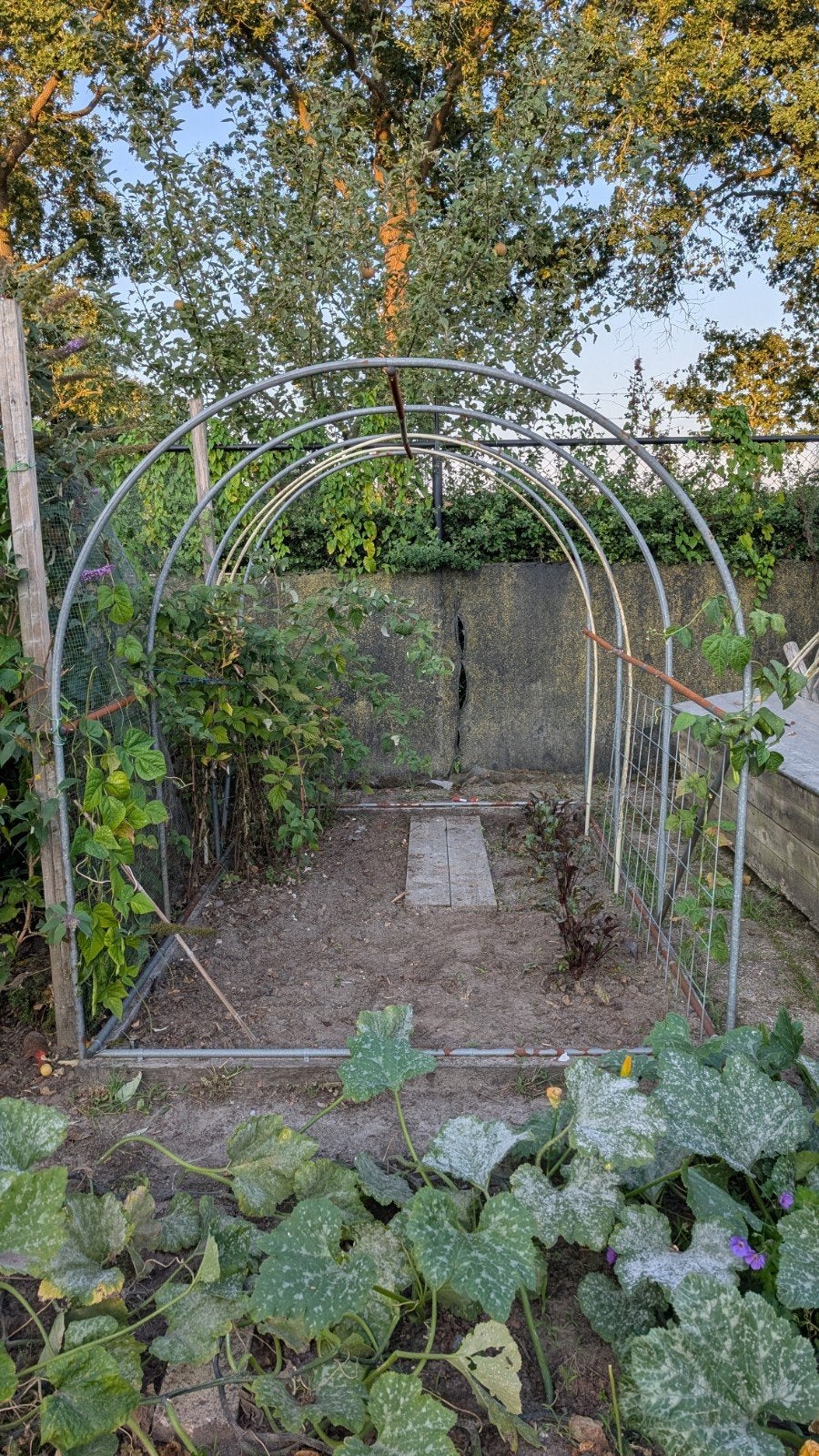 Metalen frame voor tuinkas of pergola, Tuin en Terras, Tuinhekken en Hekwerk, Ophalen, Gebruikt, IJzer, Overige typen
