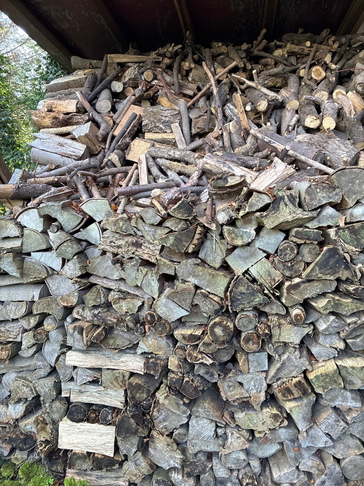 Haardhout: Taxus, Beuk, Eiken - Zelf Ophalen, Minder dan 3 m³, Ophalen of Verzenden, Beukenhout, Blokken