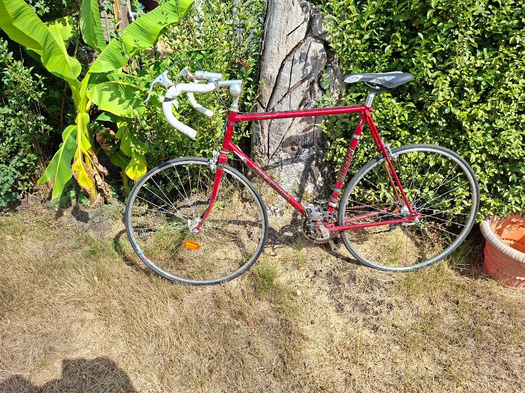 Vintige  race fiets, Ophalen, Overige typen