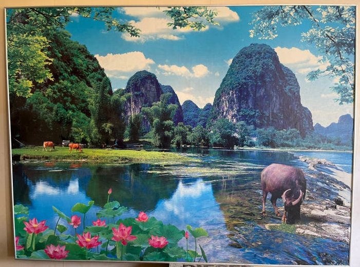 Groot landschap foto-schilderij met waterbuffel en koeien, Antiek en Kunst, Kunst | Schilderijen | Klassiek, Ophalen, Realistisch