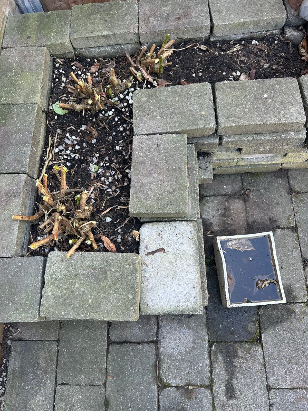 Gratis afhalen 95 betontegels 5,7 m², Tuin en Terras, Tegels en Klinkers, Ophalen, Gebruikt, 5 tot 10 m², Beton