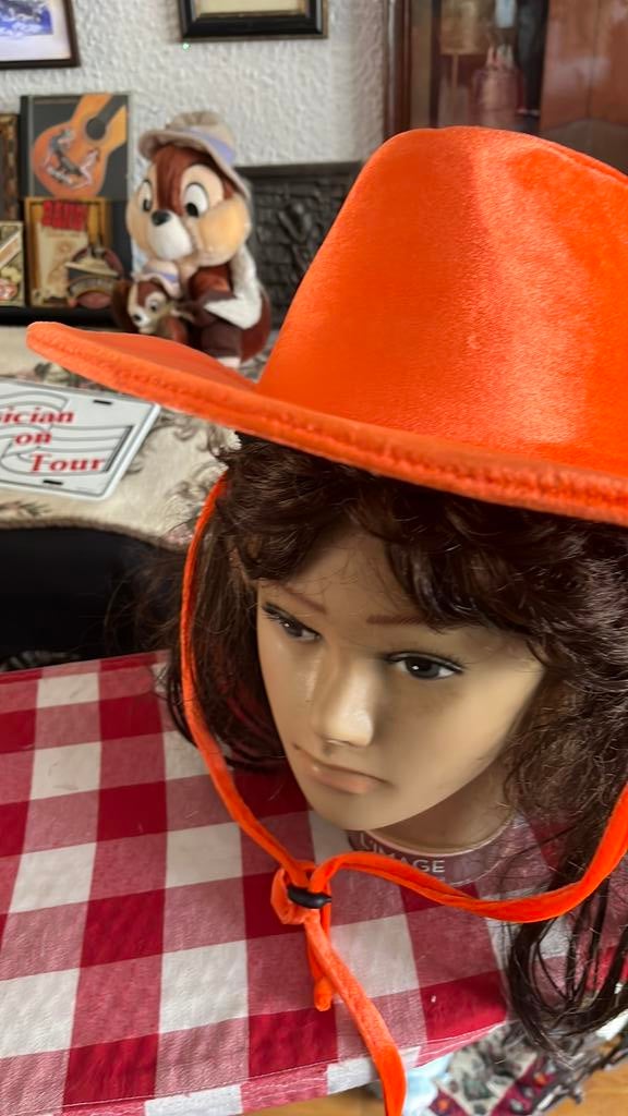 Cowboy hoed, Ophalen of Verzenden, Zo goed als nieuw, Carnaval