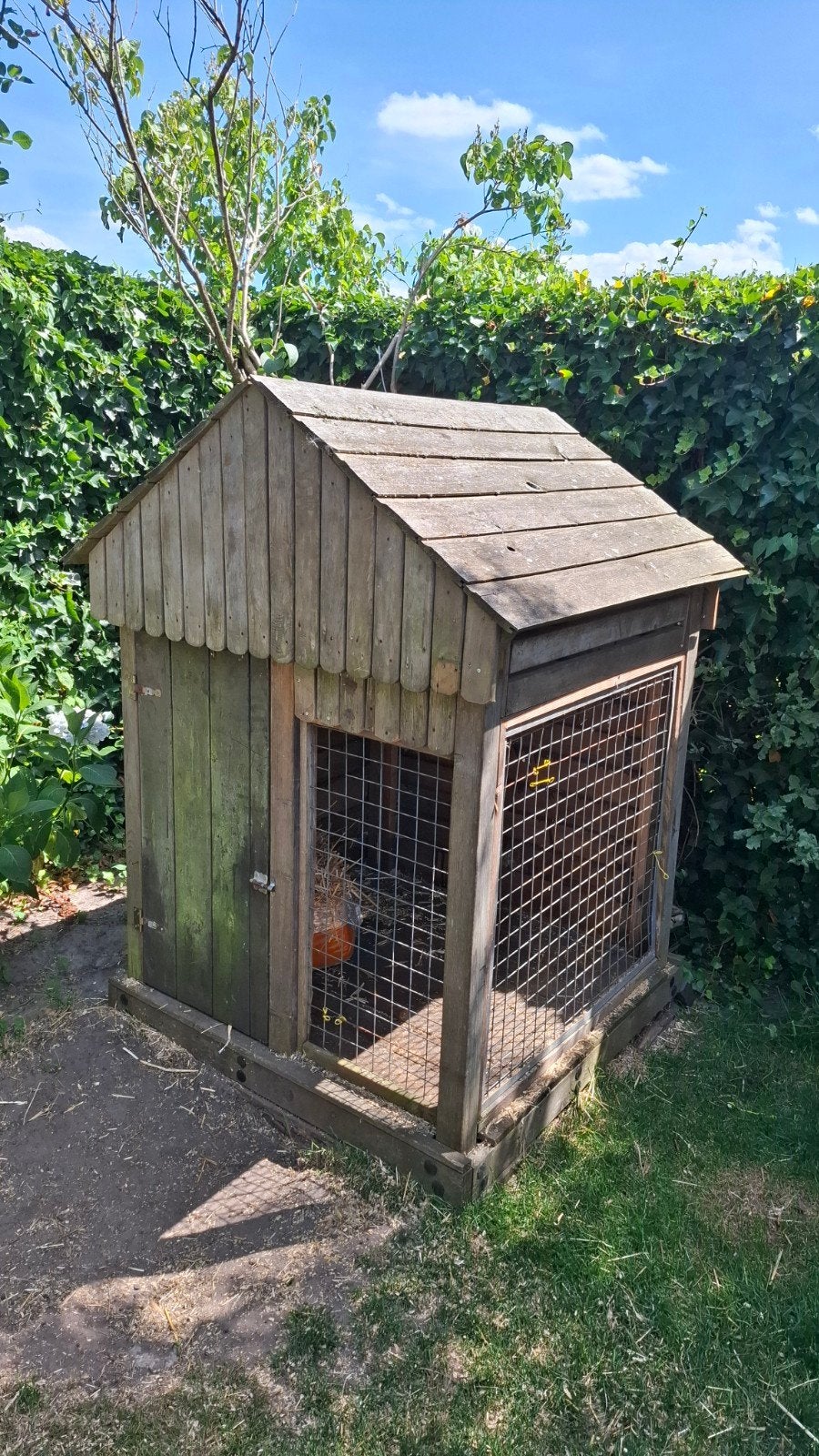 dierenhok gratis, Ophalen, Gebruikt, 110 cm of meer, 100 cm of meer