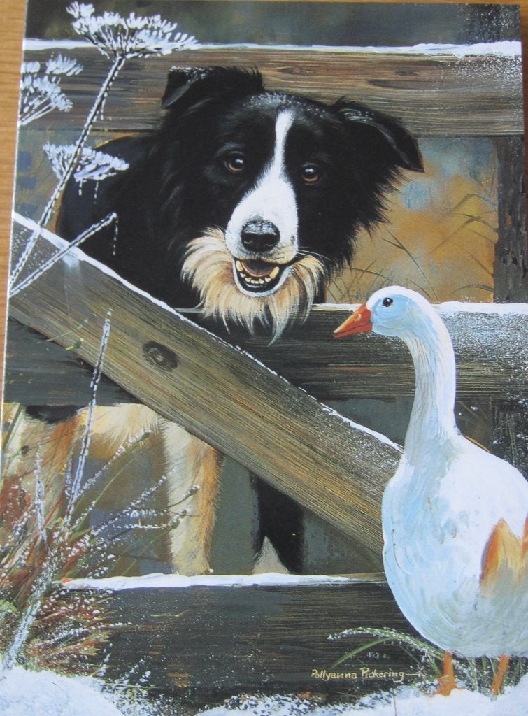 dubbele kerstkaart van Otterhouse met border collie - nieuw, Ophalen of Verzenden, Nieuw