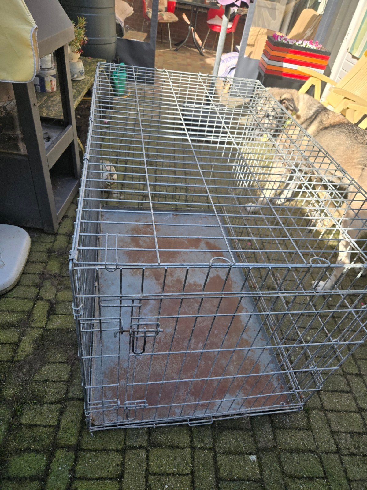 Hondenbench, Dieren en Toebehoren, Ophalen, Gebruikt