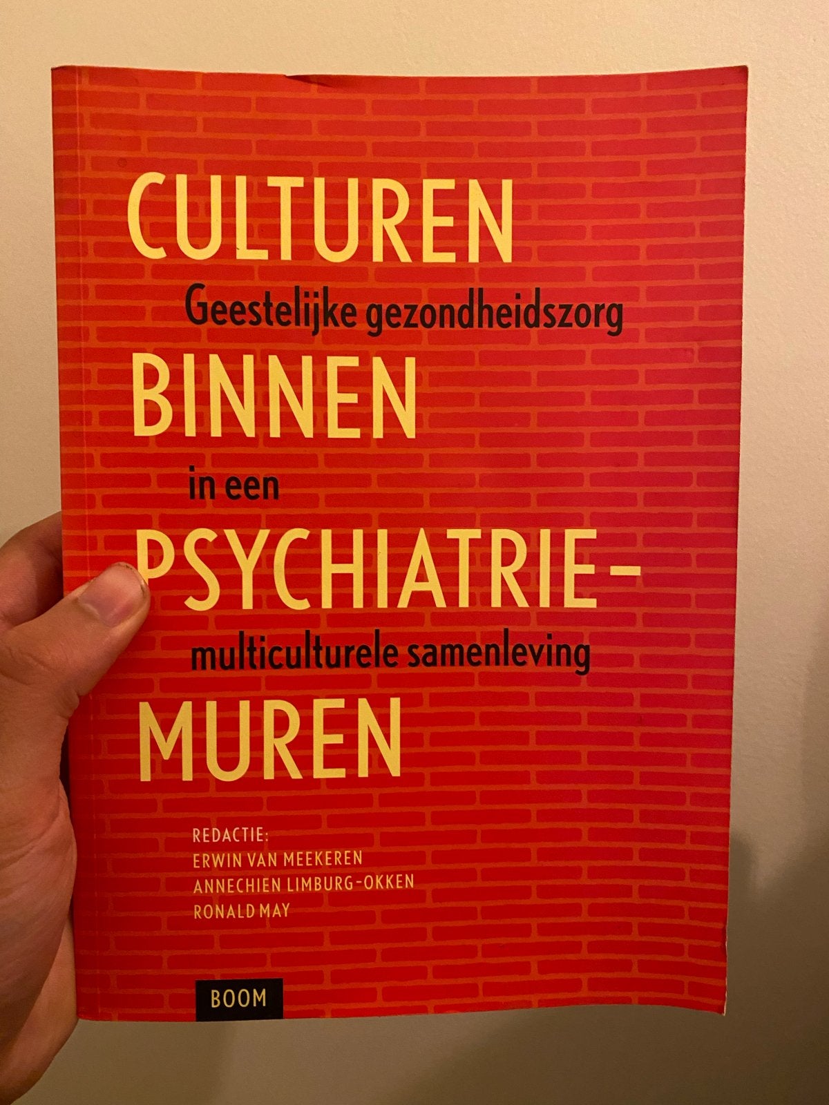 Culturen binnen psychiatrie-muren - Geestelijke gezondheidsz, Ophalen of Verzenden, Gamma, Zo goed als nieuw, HBO