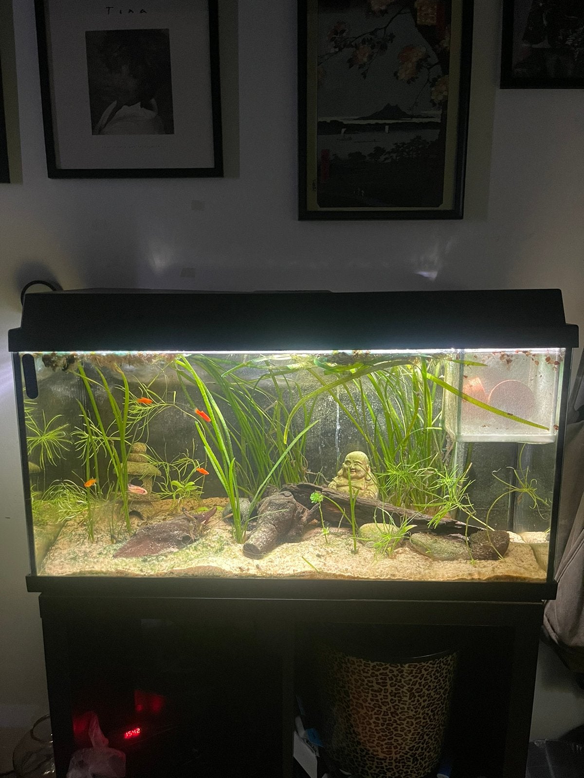 Juwel primo 110, Ophalen, Zo goed als nieuw, Leeg aquarium
