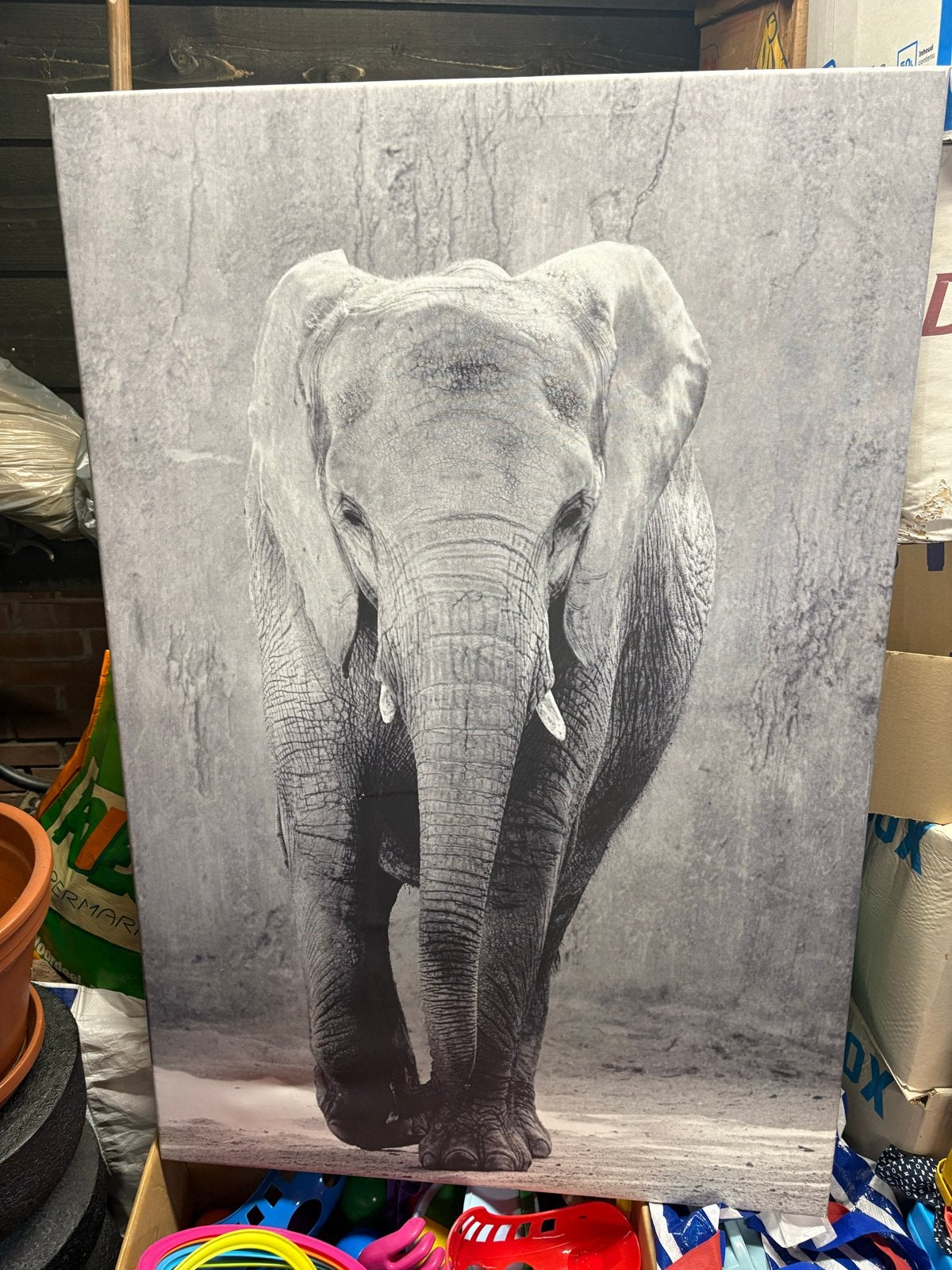 Canvas schilderij olifant 120x80 cm, Ophalen, Zo goed als nieuw, Schilderij, 75 tot 100 cm